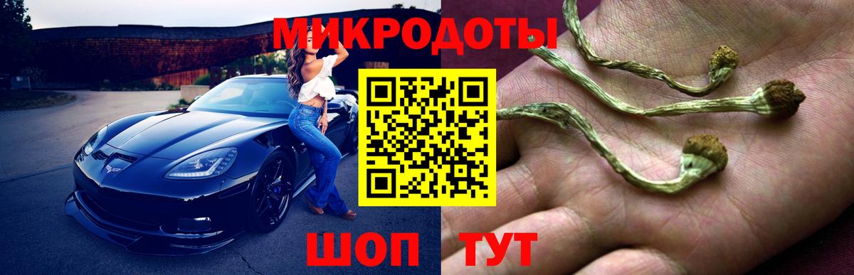 Галлюциногенные грибы MAGIC MUSHROOMS Калуга
