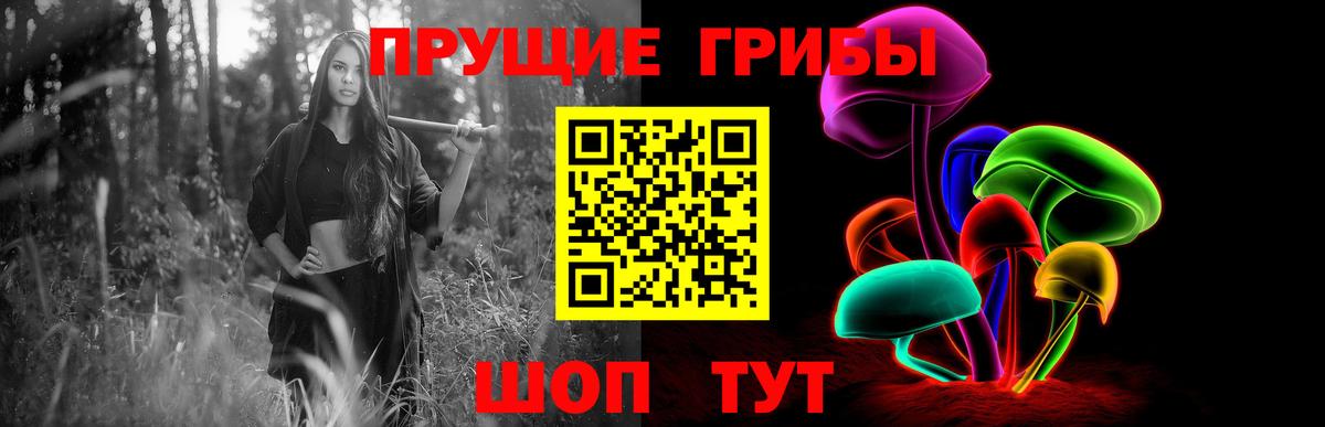 Псилоцибиновые грибы Cubensis  Вход с VPN  Псилоцибиновые грибы ЛСД  Калуга 